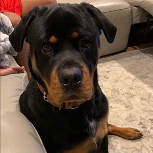 Meet your Posher, Mandeep